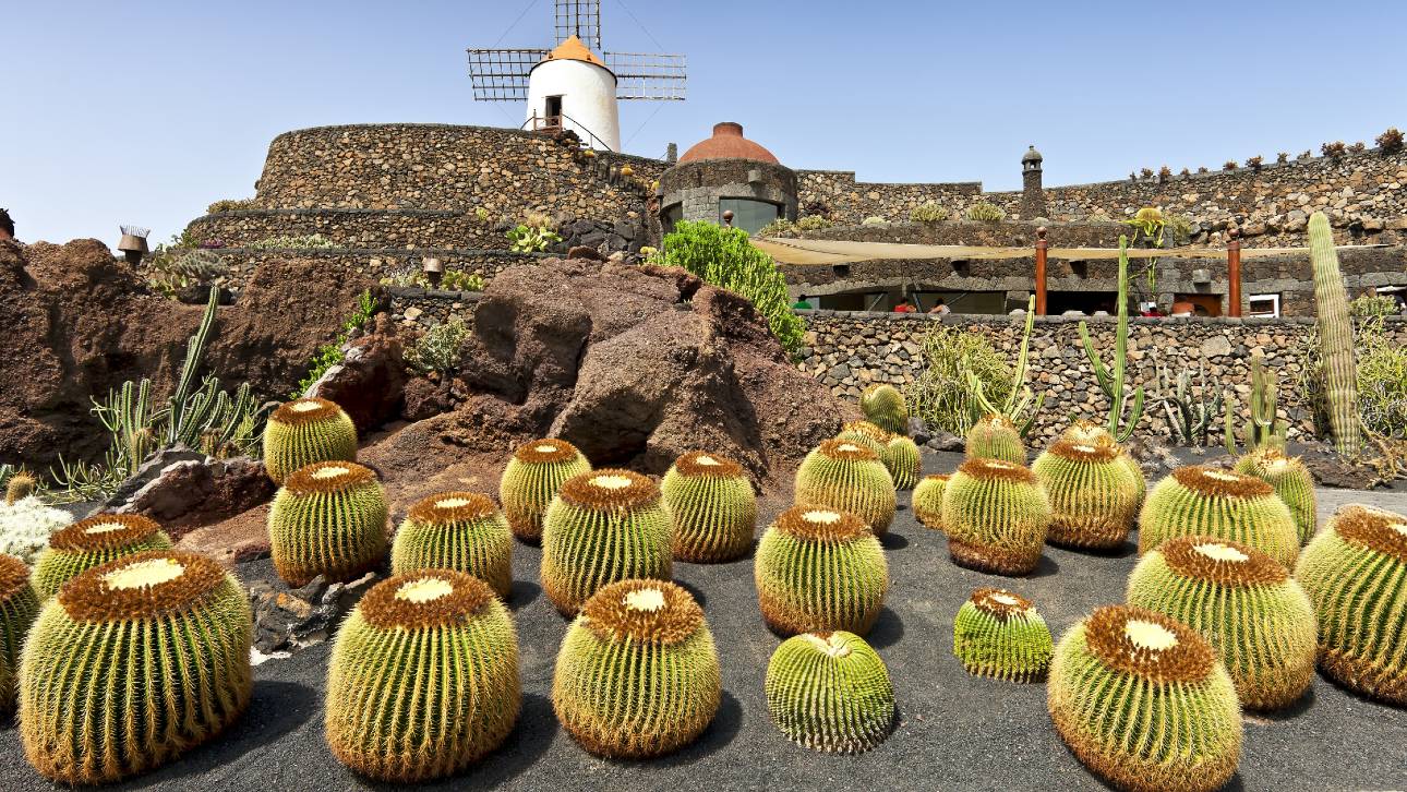 Jardin de Cactus - Lanzarote atrakcje