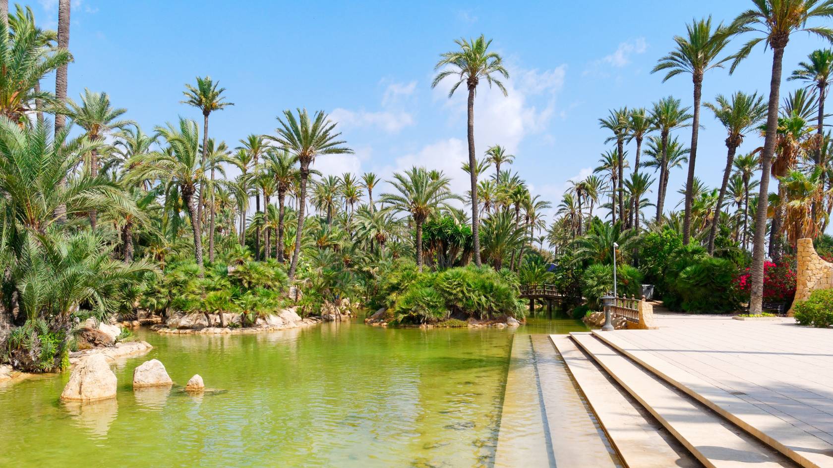 Park palmowy Alicante