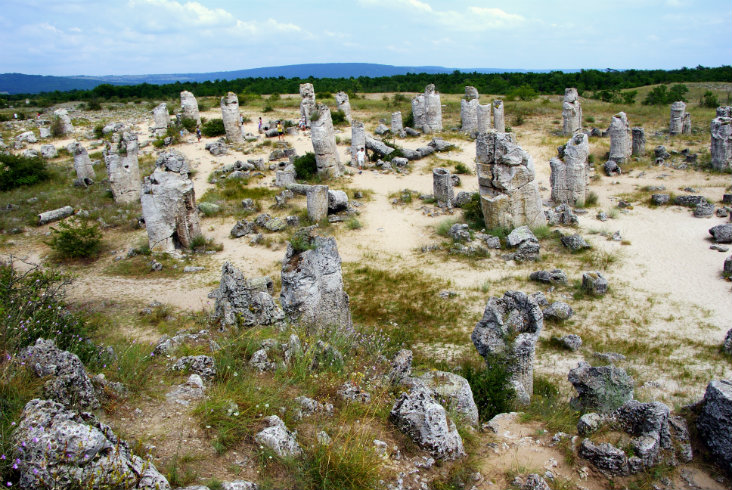 Каменный лес в Болгарии